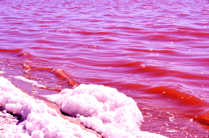 Lac Rose Découverte touristique